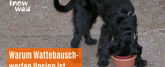 Unsinn mit Hund und Blumentöpfen