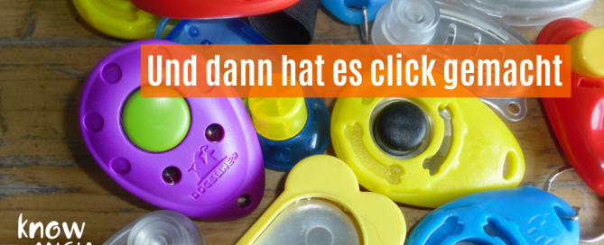 Clicker, verschiedene Modelle