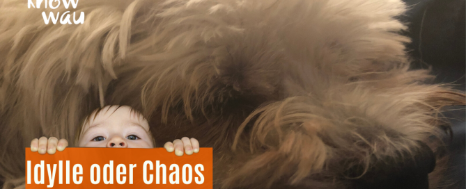 Idylle oder Chaos