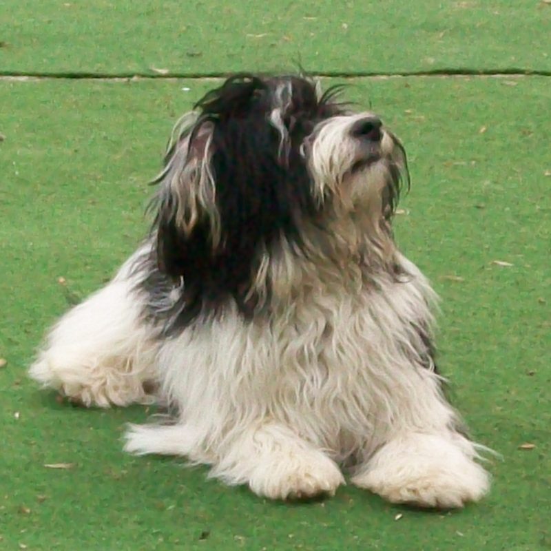 Sachkundenachweis Knowwau