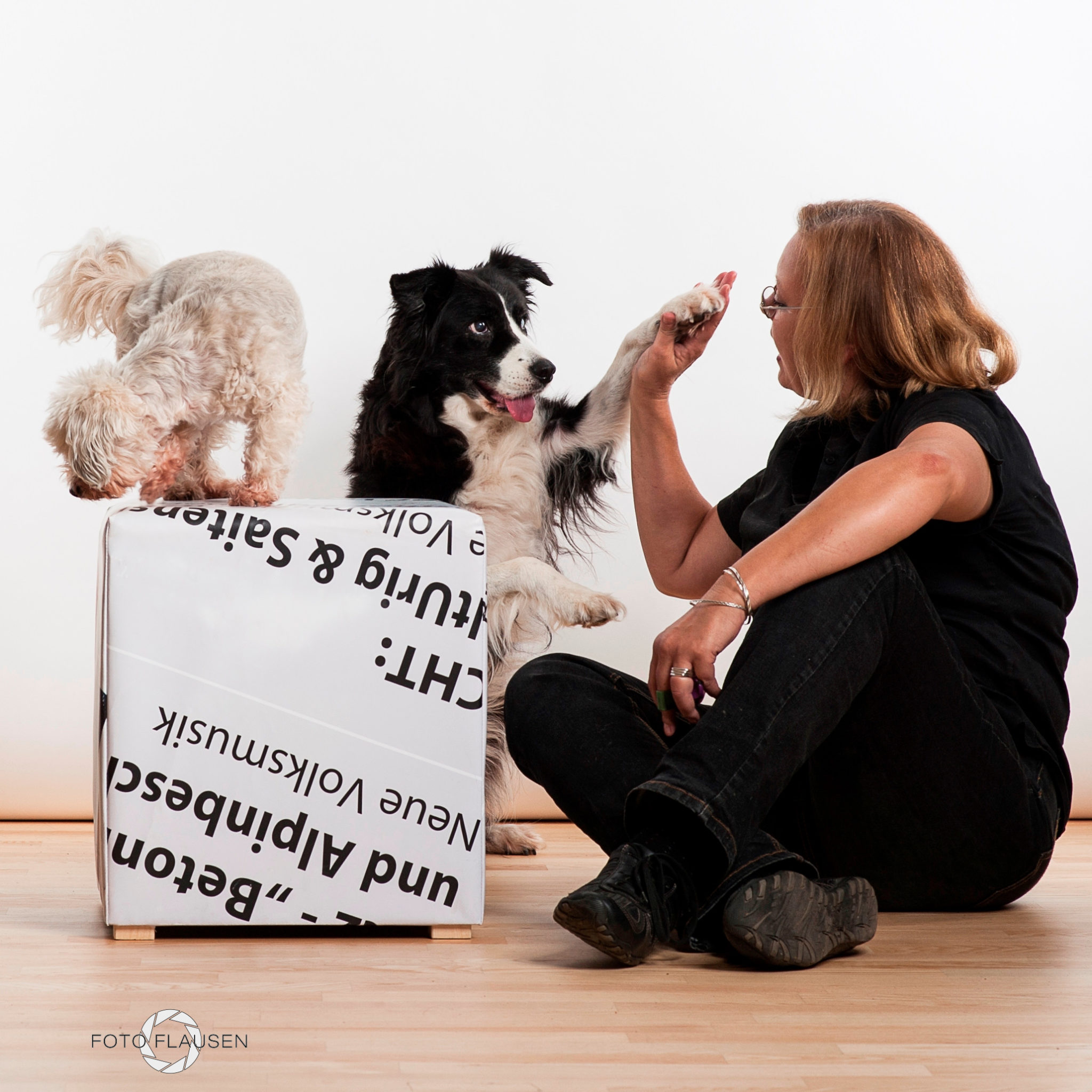 Hundeerziehung und Hundeschule mit Spaß