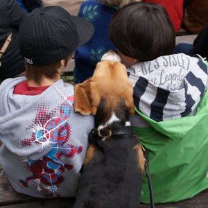 Beagle mit Kindern Beagle mit Kindern