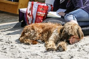 chillout am strand Chillout am Strand