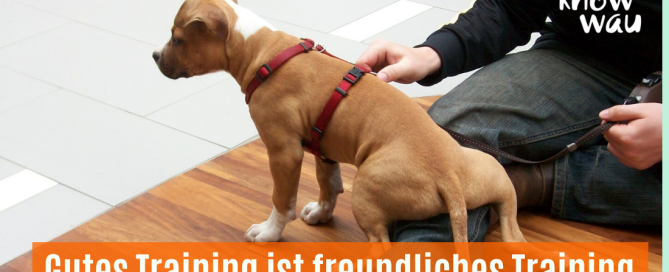 Gutes Training ist freundliches Training