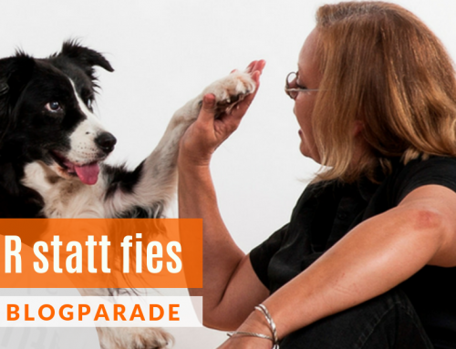 FAIR statt fies – die Blogparade