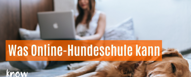 Was Online Hundeschule kann