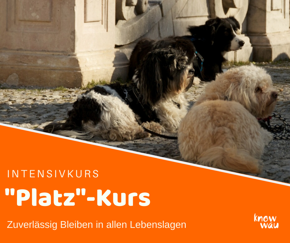Platzkurs Intensivkurs "Platz"