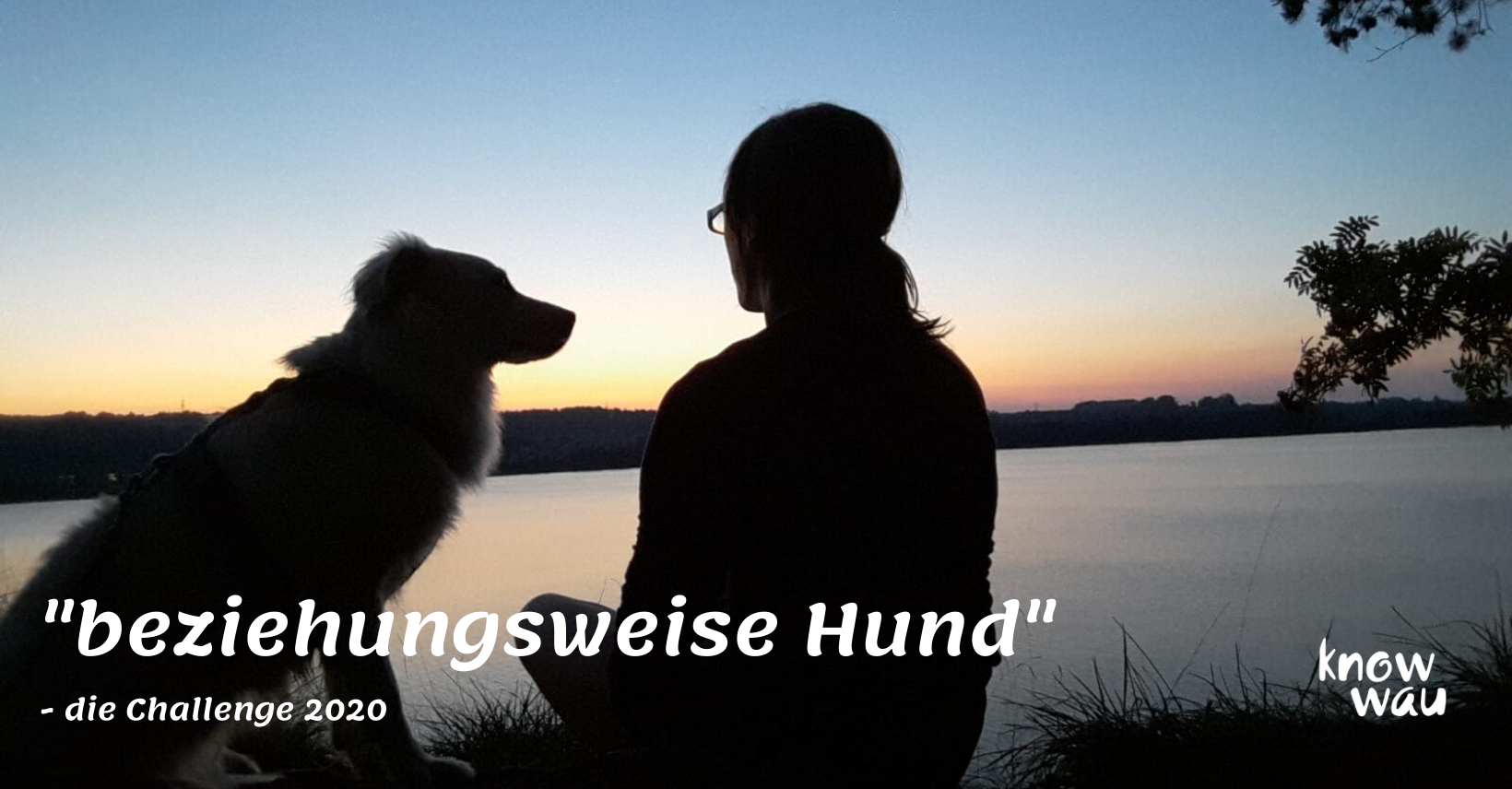 beziehungsweisehund, die Challenge beziehungsweise Hund, die Challenge 2020