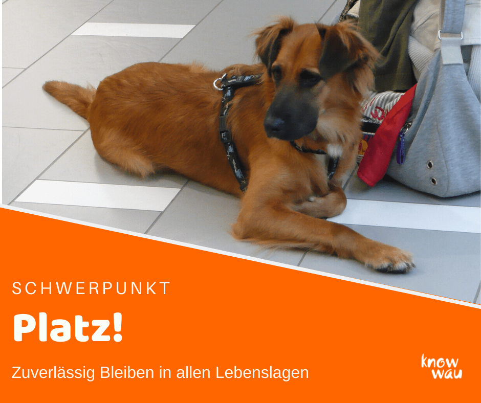 Bleiben Bleiben unter allen Umständen