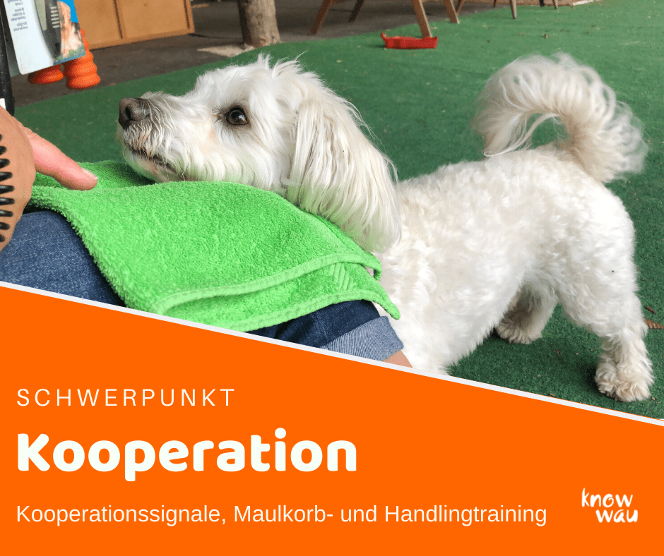 Kinntarget Kinntarget als Kooperationssignal
