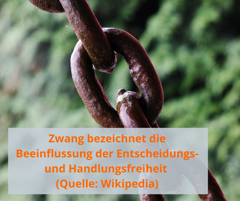 Zwang in der Hundeerziehung