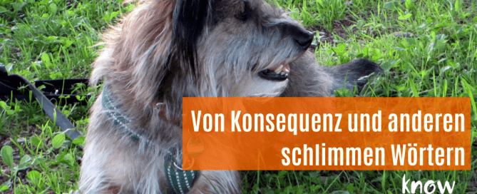 konsequenz und andere schlimme woerter