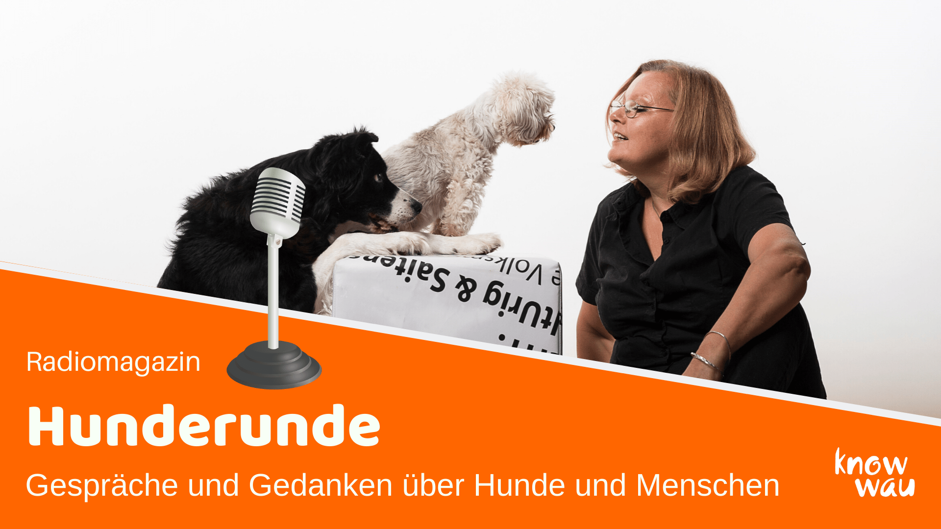 Hunderunde, Gespräche und Gedanken über Hunde und Menschen