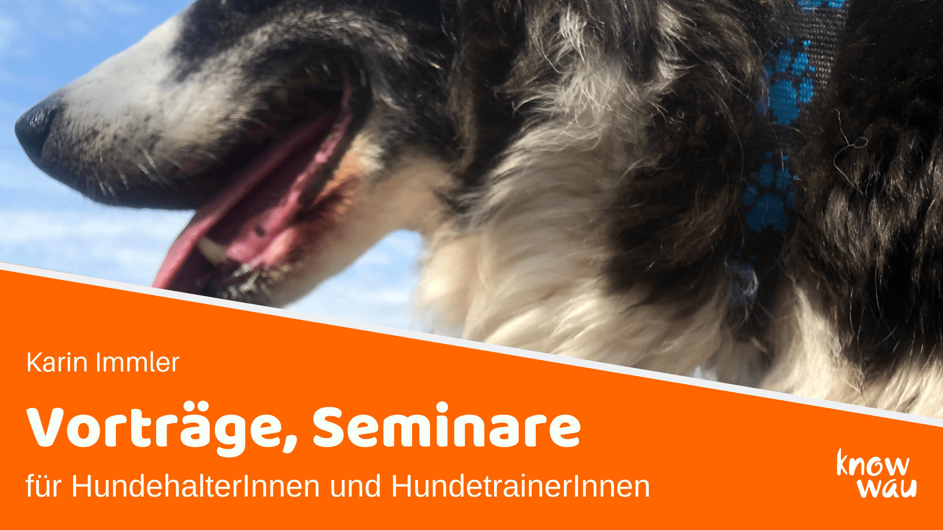 Vorträge und Seminar für HundehalterInnen und HundetrainerInnen