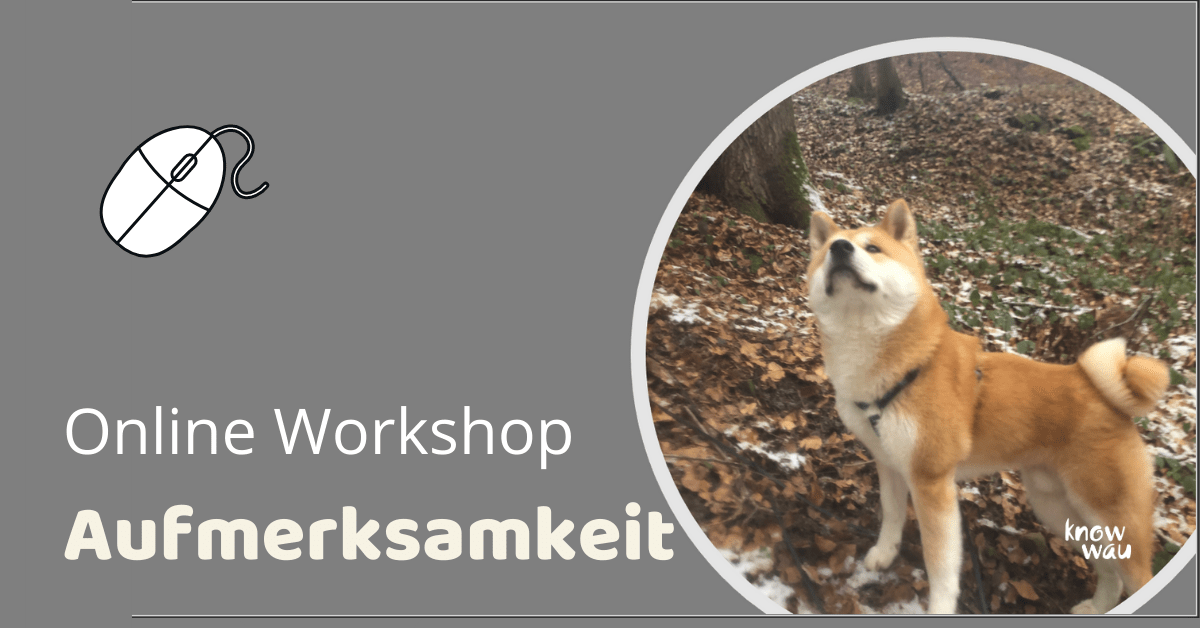 Aufmerksamkeit workshop Workshop Aufmerksamkeit
