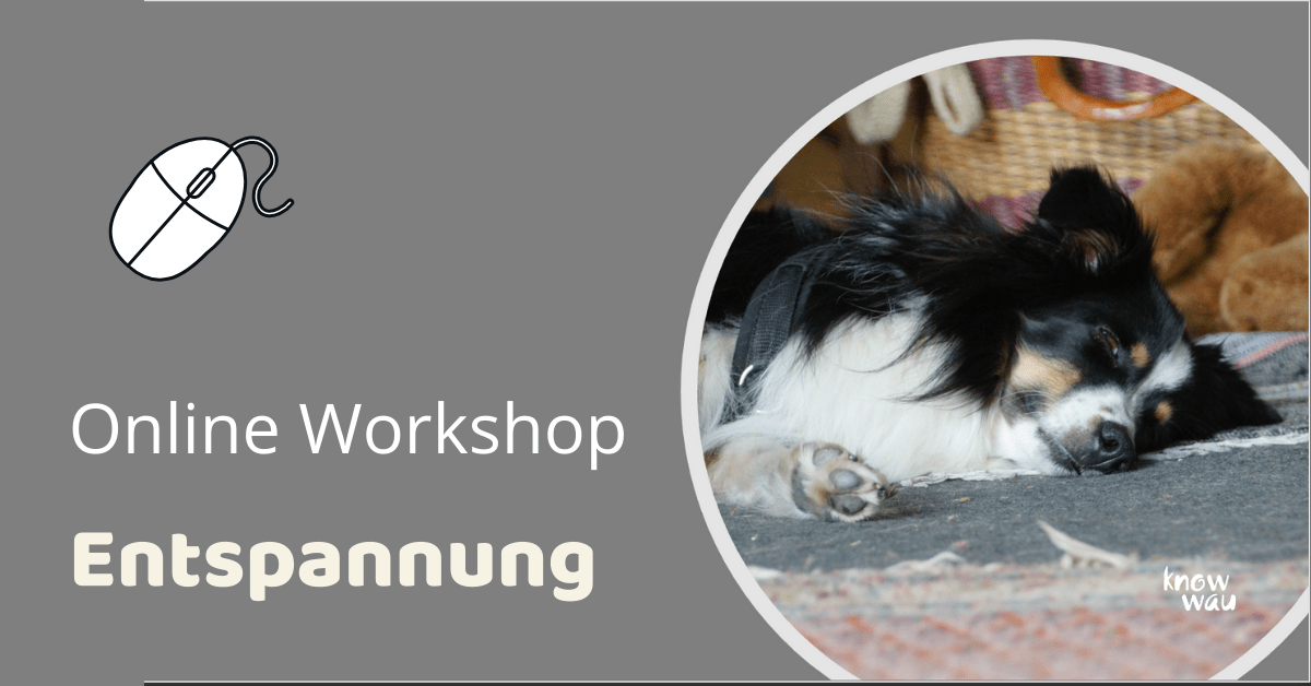 Entspannung Workshop