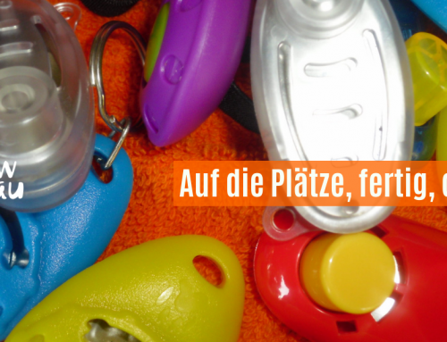 Clickertraining – was ist dran