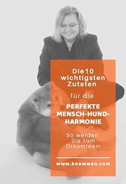 mensch und hund in harmonie