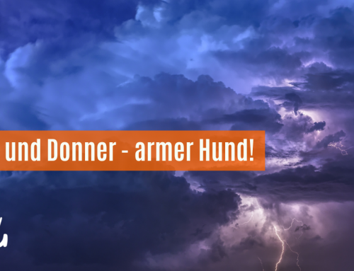 Blitz und Donner – Angst bei Gewitter