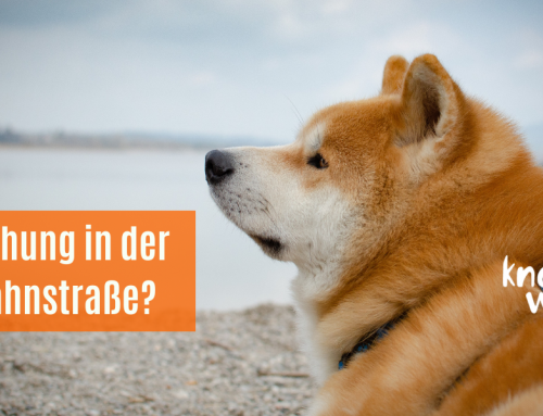 Beziehung in der Einbahnstrasse