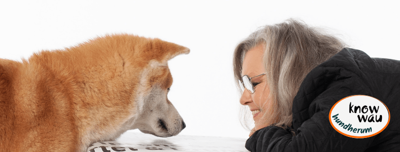 Ihr Mitgliederbereich für ein harmonisches Mensch-Hund-Team