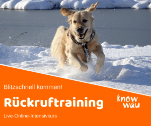rueckruftraining rueckruftraining