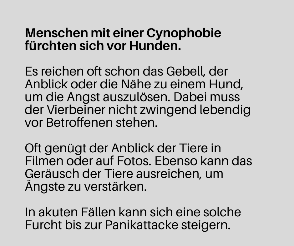 menschen mit einer cynophobie fürchten sich vor hunden