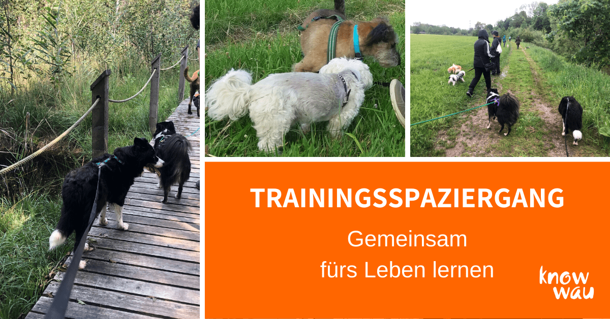 VA Sommer Trainingsspaziergang
