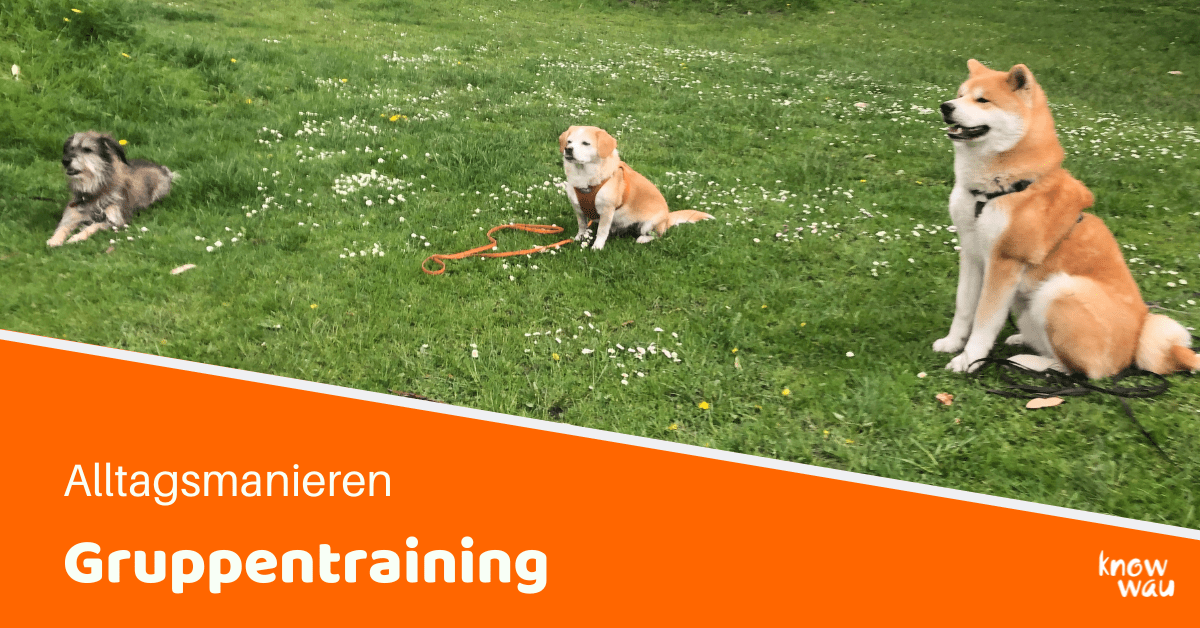 gruppentraining