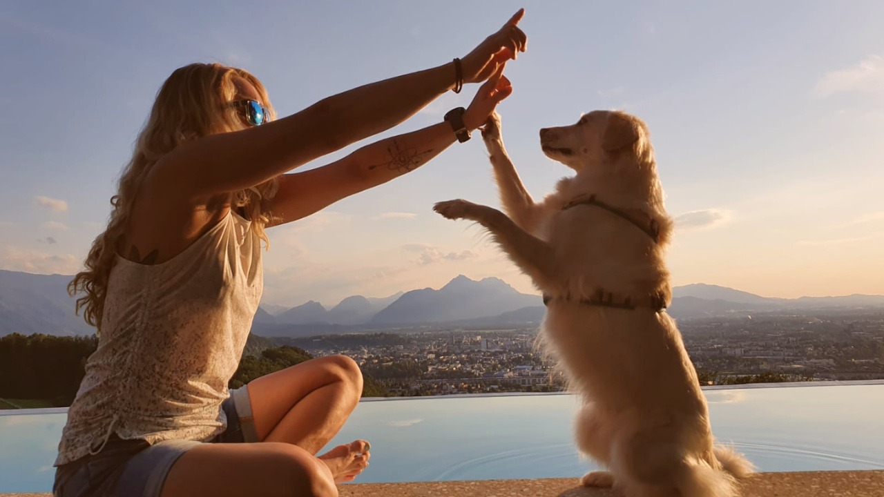 harmonisches Mensch-Hund-Team