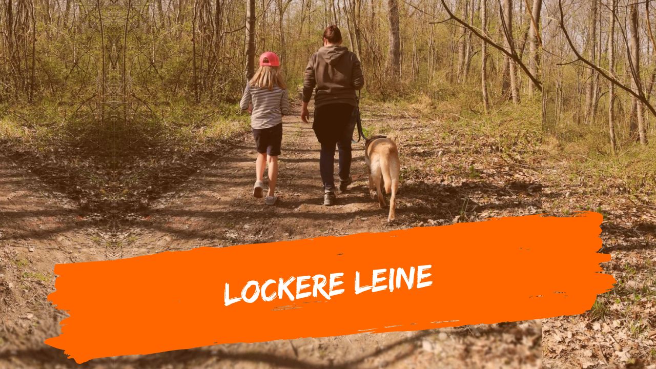 lockere leine
