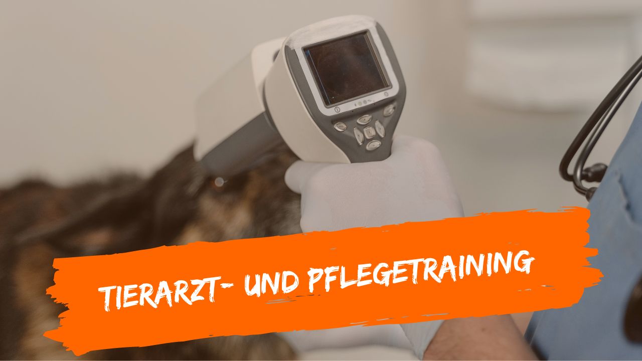 tierarzt-online-4