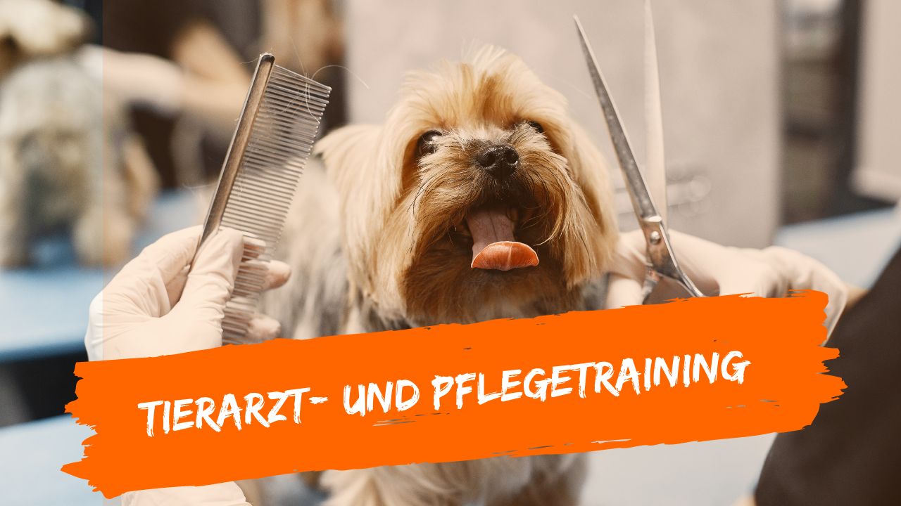 tierarzt-online-8