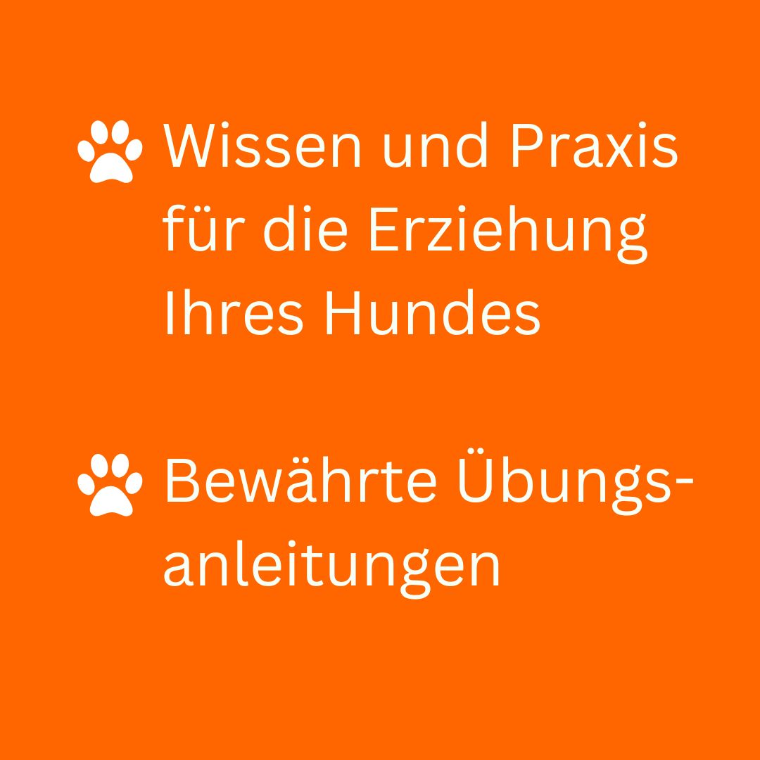 hundherum - der Mitgliederbereich