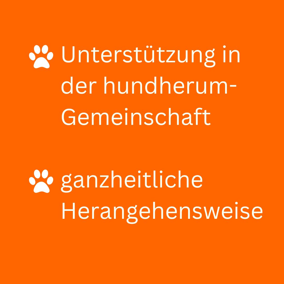 Mitgliederbereich und Online Hundetraining