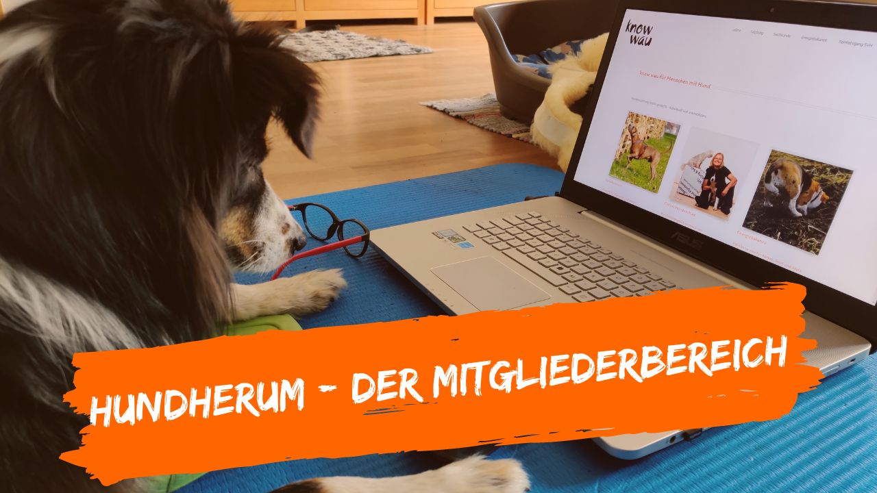hundherum, der Mitgliederbereich von know wau