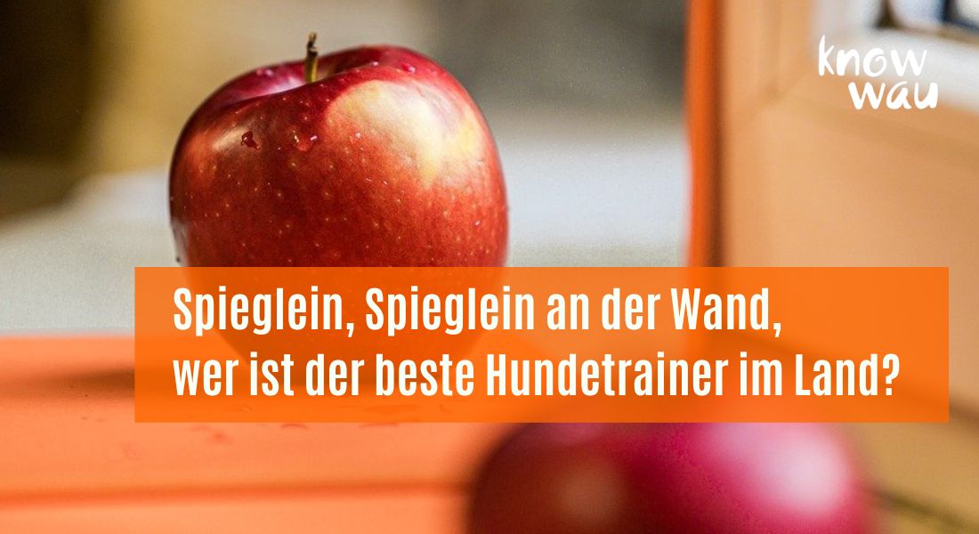 Spieglein, Spieglein an der Wand