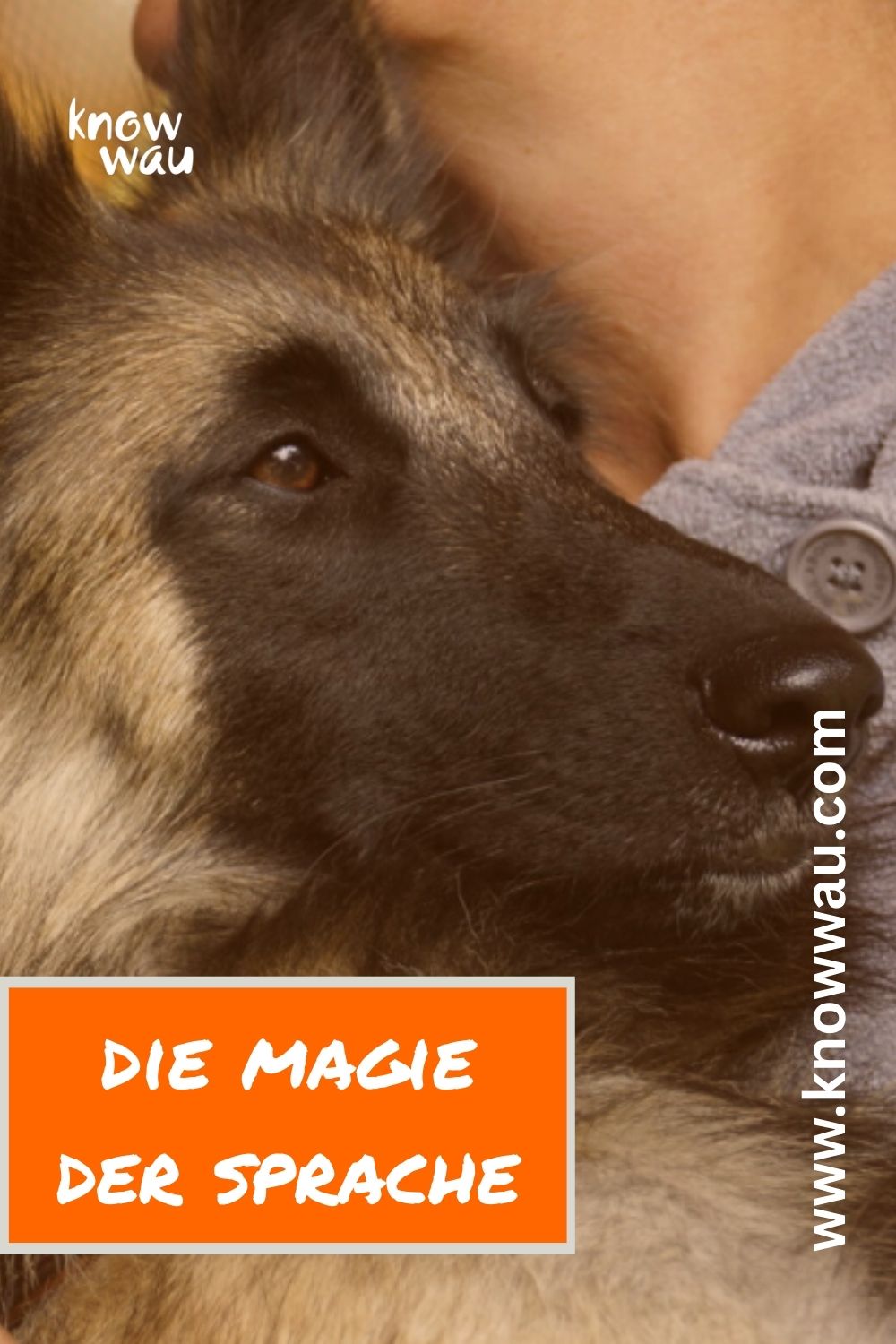 Sprache formt Gedanken 