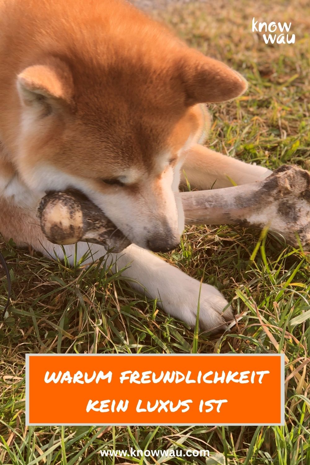 Freundlichkeit ist kein Luxus
