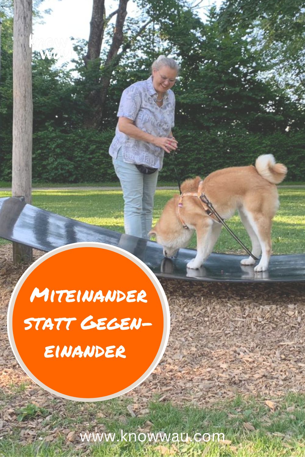 Machen Sie Ihren Hund zu Ihrem Verbündeten