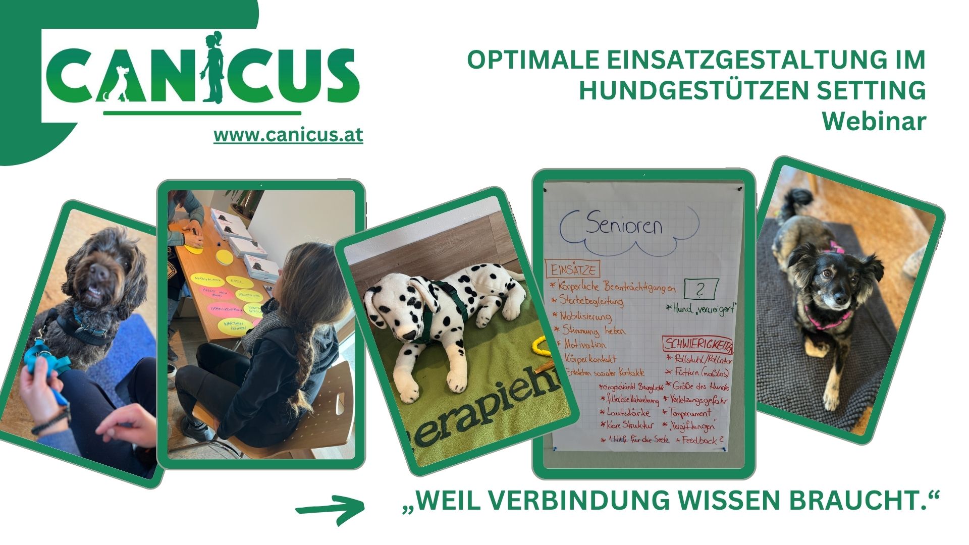 Optimale Einsatzgestaltung für Therapiehunde