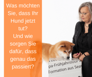 Was soll Ihr Hund tun?