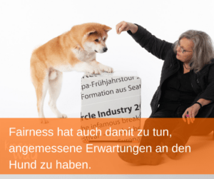 Fairness im Training und im Alltag