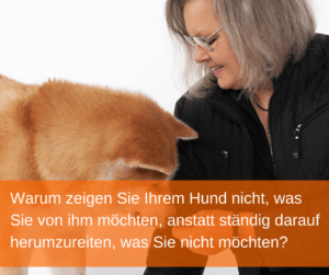 Was möchten Sie von Ihrem Hund?