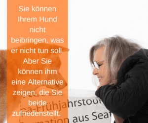 Zeigen Sie Ihrem Hund eine Alternative