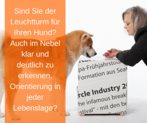 Sind Sie der Leuchtturm für Ihren Hund?