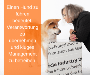 Führung und Management