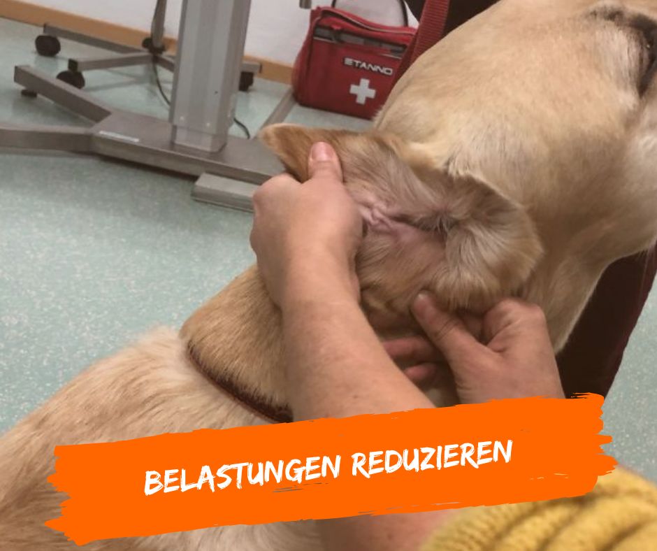 Medical Training hilft Belastungen zu reduzieren