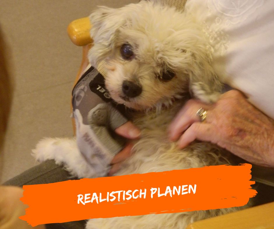 Einsätze mit dem Therapiehund realistisch gestalten
