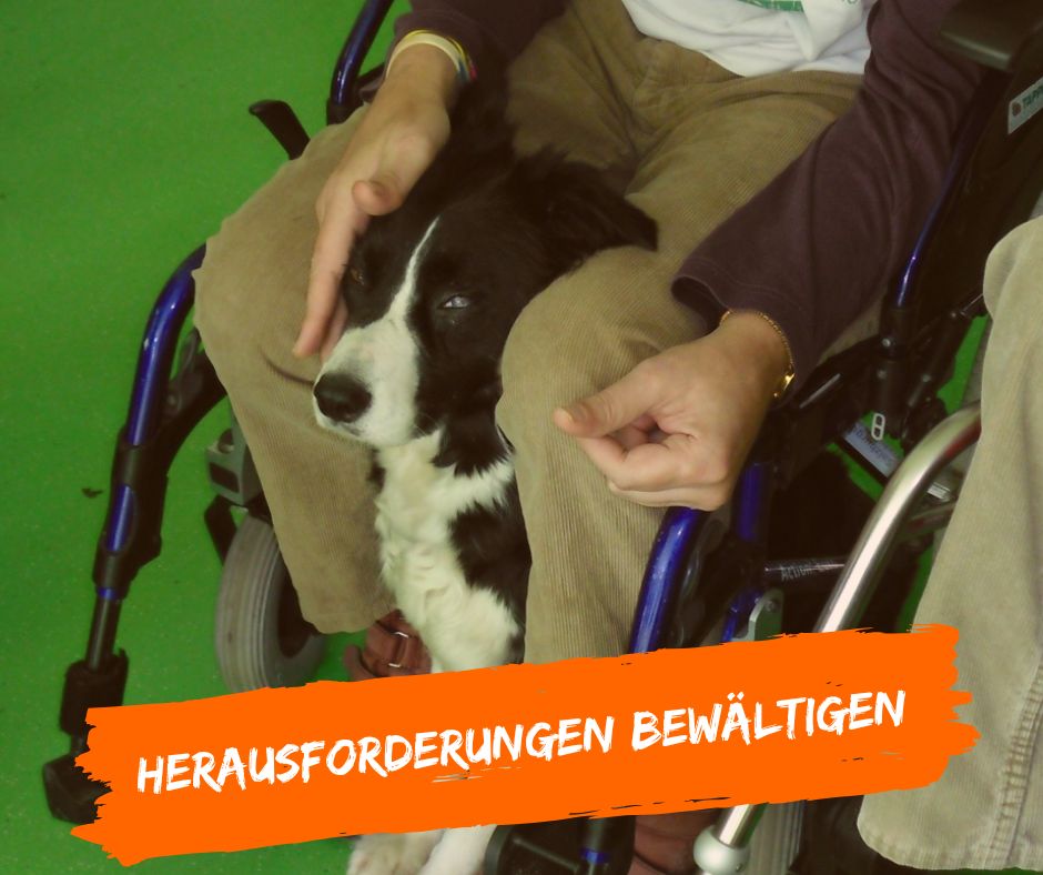 Herausforderungen gemeinsam bewältigen